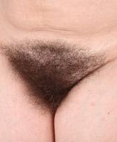 Atk Hairy
