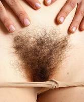 Atk Hairy