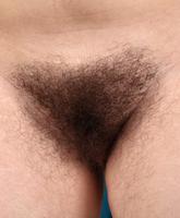 Atk Hairy