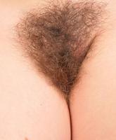 Atk Hairy