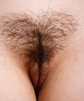 Atk Hairy