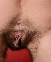 Atk Hairy